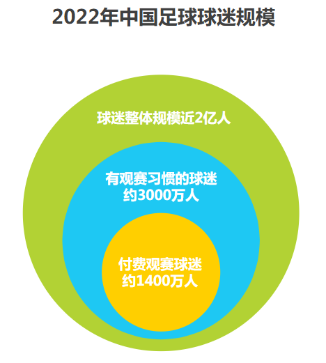 足球赛事中的判罚争议仍在持续